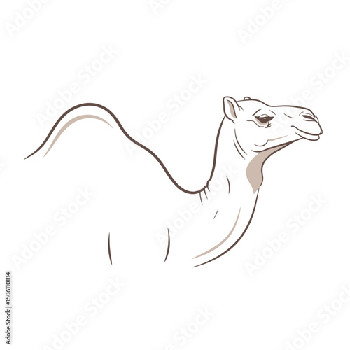 Elegant Camel: Minimalist Line Art Illustration