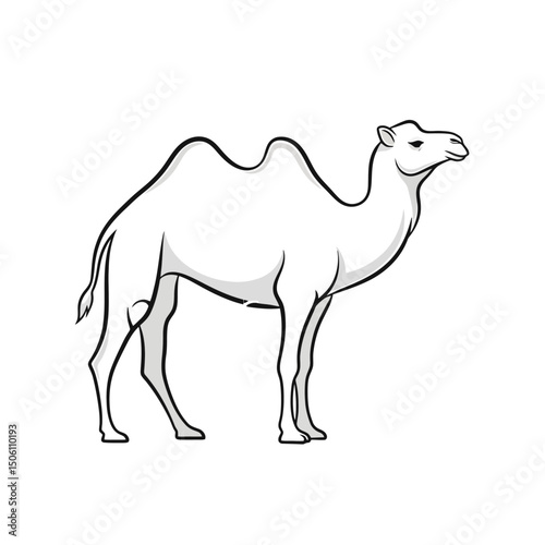 Camel Outline Illustration: Desert Animal Vector