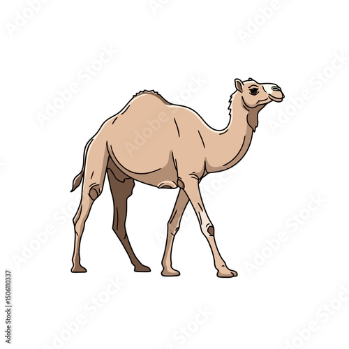 Camel Illustration: Desert Animal Icon