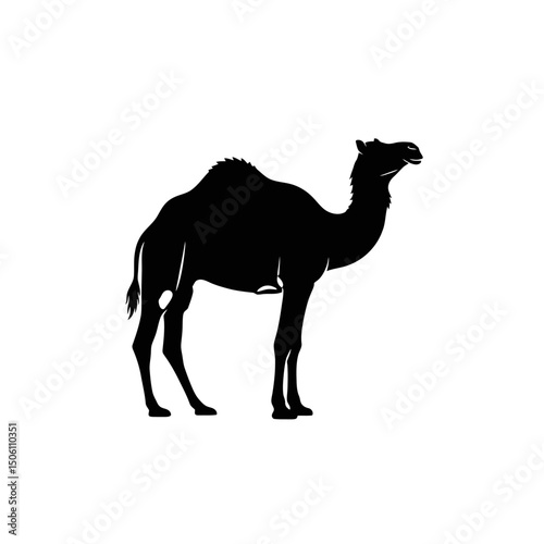 Camel Silhouette: Desert Animal Vector Illustration