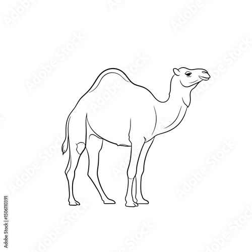 Minimalist Camel Outline: Simple Desert Animal Line Art