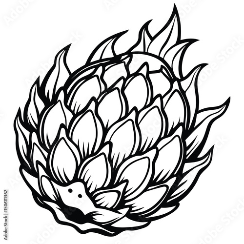 Dragon Fruit Illustration