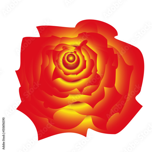 This image displays a vector graphic design style that can be described as abstract floral or organic forms with gradient fills and contour lines.