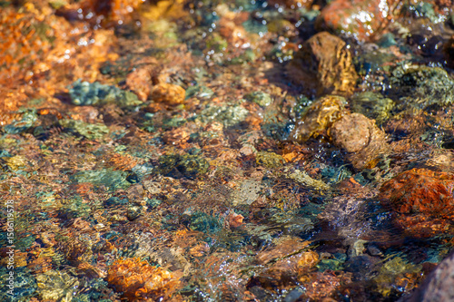 Harmony of Nature: Flowing water gracefully flows along a picturesque river decorated with smooth, scattered stones. Nature Photography