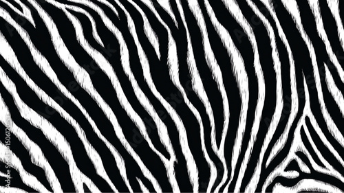 A close up of a zebra pattern with black and white stripes covering the entire image surface area