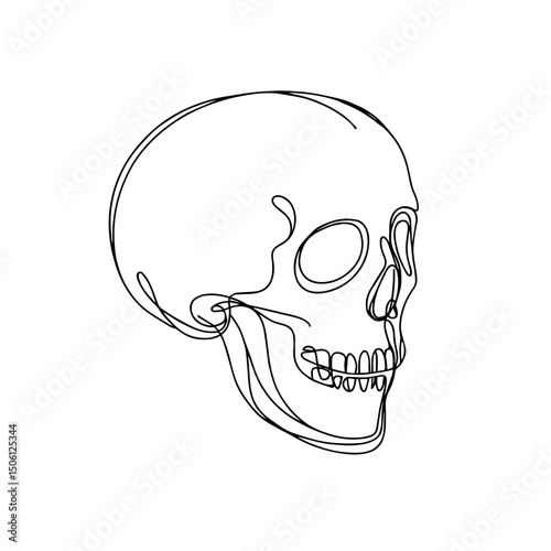 Minimalistic line art of a human skull portrayed in a side view against a clean white background, artistic concept of educational materials or graphic design