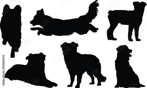 Australian Shepherd Dog Silhouettes - Various Poses Set