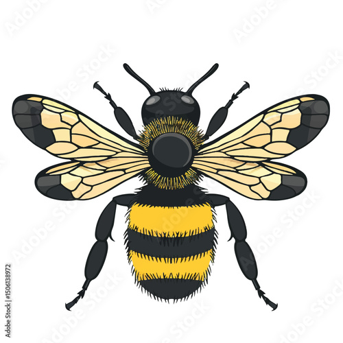 A cute of Bee vector illustration