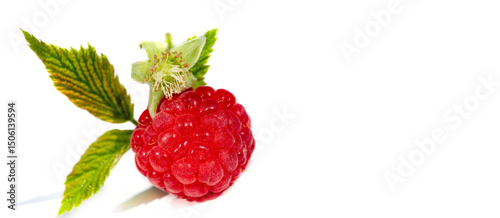 Photos Raspberry