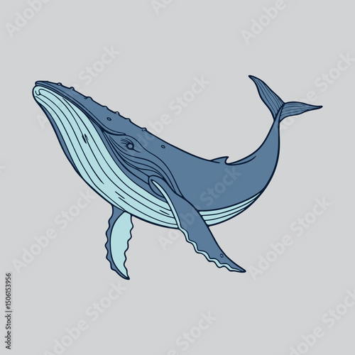 Blue Whale A Marine Art Showcase