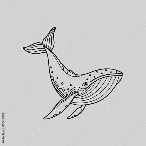 Blue Whale Illustrated in Detail