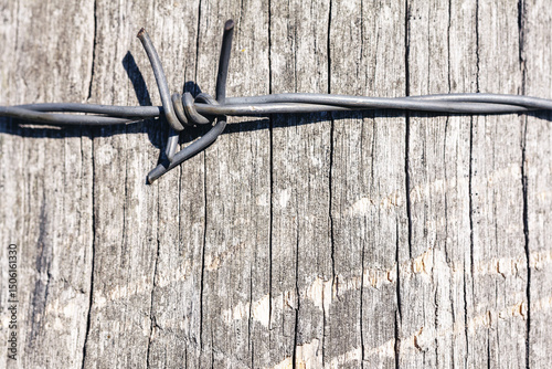 Twisted barbed wire strand, its sharp points protruding against textured wooden backdrop. Rugged metal and natural wood creates a striking interplay of industrial toughness 