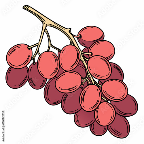 bunch of red grapes