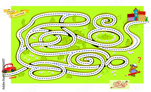 Best labyrinths. Can you help the car find its way home? Logic puzzle game for children and adults. Brain teaser book with maze. Educational page. Kids activity sheet. Flat vector illustration.