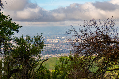 Berkley Cityscape view through trees under a cloudy sky