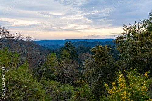 A scenic view of a forest and hills under a cloudy sky.