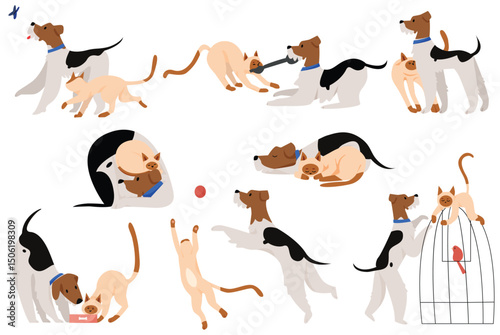 Cute touchable moments friendship pets character set flat cartoon vector illustration isolated on white background. Funny pair of tailed friends together play with ball and ribbon, sleeping, eating