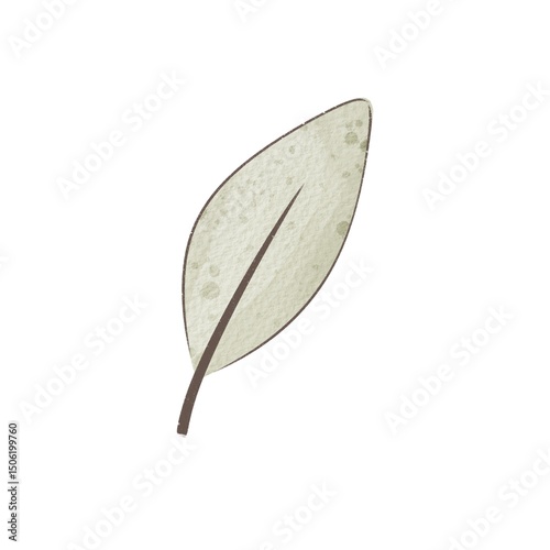 Cartoon leaf. Colorful illustration, flat style. design for cards, print, poster	