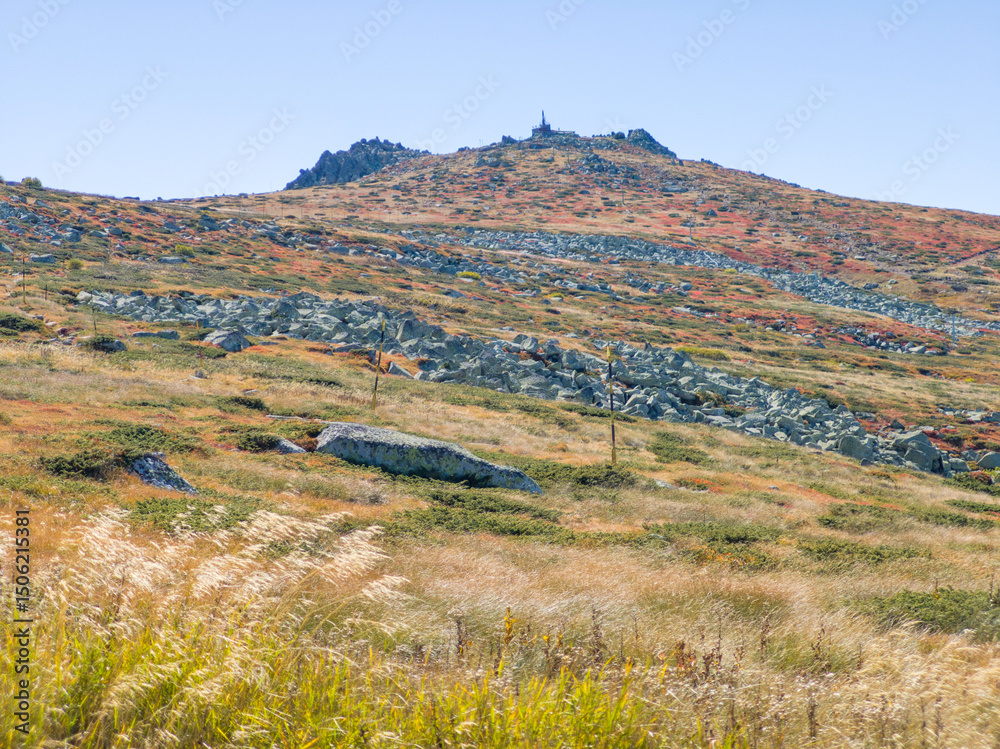 Fototapeta premium Autumn panorama of Vitosha Mountain, Bulgaria