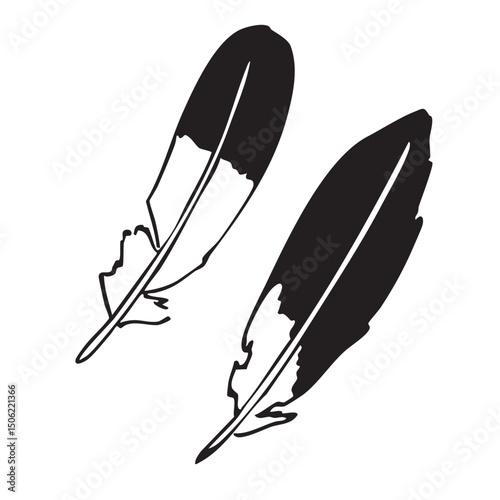 Hand drawn western vector doodles of bald eagle feather. Line art illustrations with wild west atmosphere.