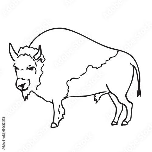 Hand drawn western vector doodle of bison, american buffalo. Line art illustrations with wild west atmosphere.
