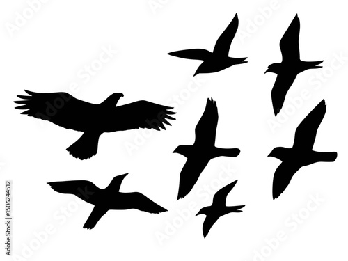 Multiple Bird Silhouette, Birds Silhouette Flying in the Air – Unique Artistic Illustration