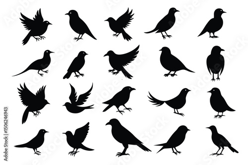 Bird Flying Silhouette Collection – Vector Pack & Clipart Set.