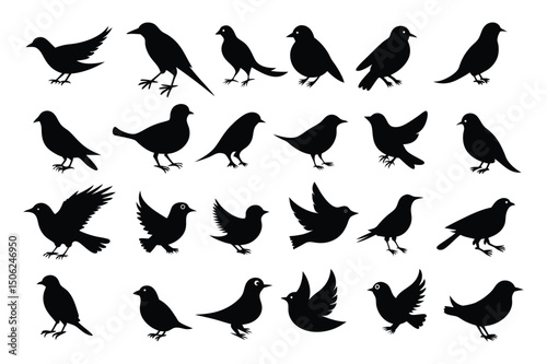 Bird Flying Silhouette Collection – Vector Pack & Clipart Set.
