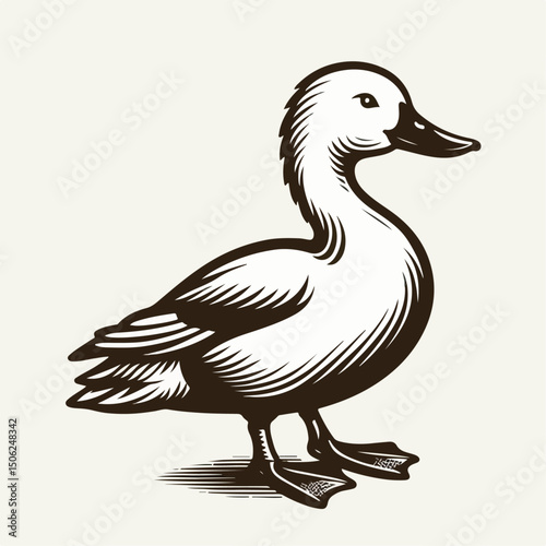 duck silhouette vector illustration