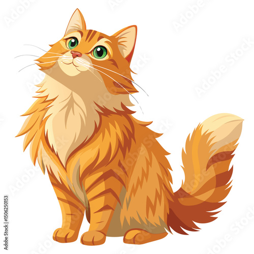 A fluffy ginger cat, possibly a Maine Coon, stands on its hind legs looking upwards with a hopeful expression with white background