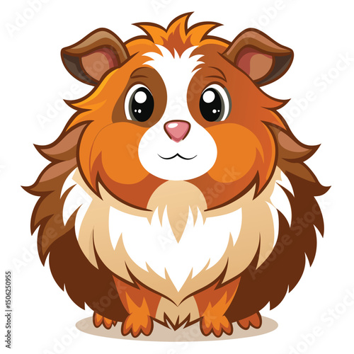 A fluffy guinea pig with brown and white fur stands facing forward with a slightly surprised expression with white background