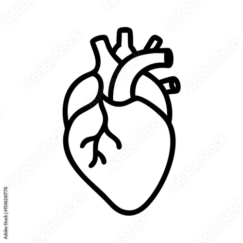 Anatomical heart icon in black outline on transparency background, symbolizing health and medicine