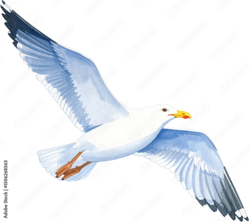 Fototapeta premium 갈매기 일러스트