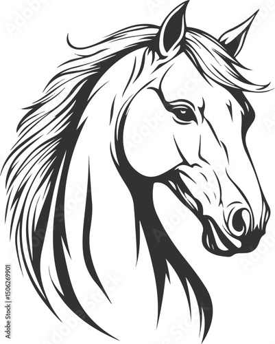 Black and white silhouette vector of the horse's head
