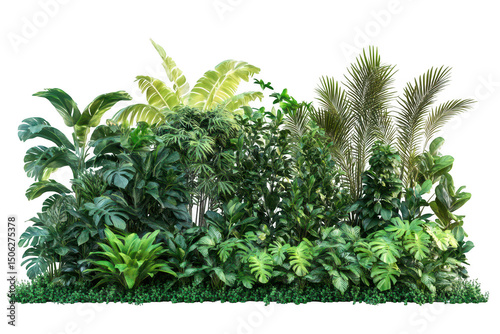 Lush tropical plant collection isolated on a transparent background