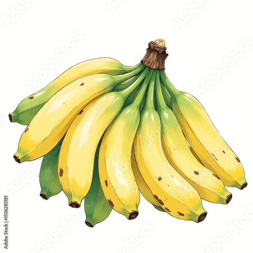 Illustrated Bananas in Natural Light with Green Peels