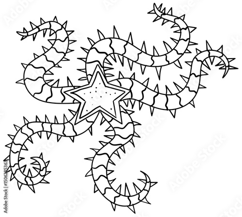 Brittle Star Vector Outline Line Art Drawing
