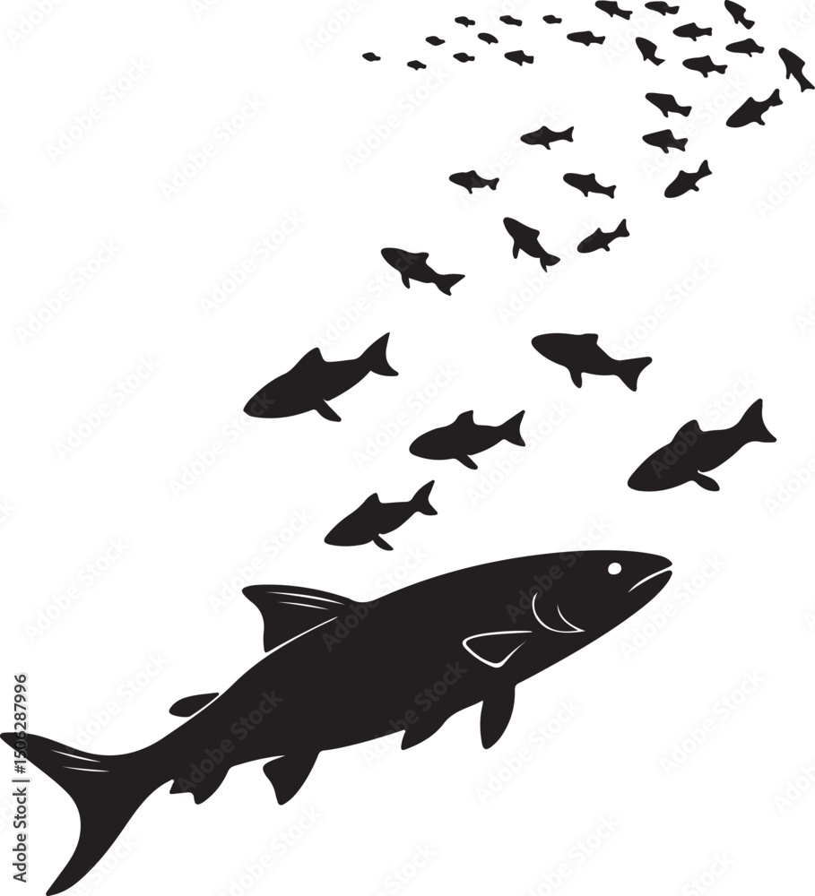 Fototapeta premium Group of Small Fish Swimming in Harmony Silhouette