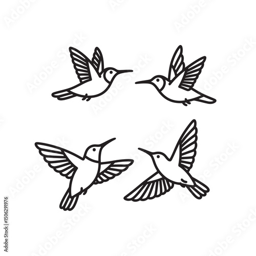 captures graceful hummingbirds mid-air, showcasing nature's elegance and synchronized beauty against a vibrant sky.