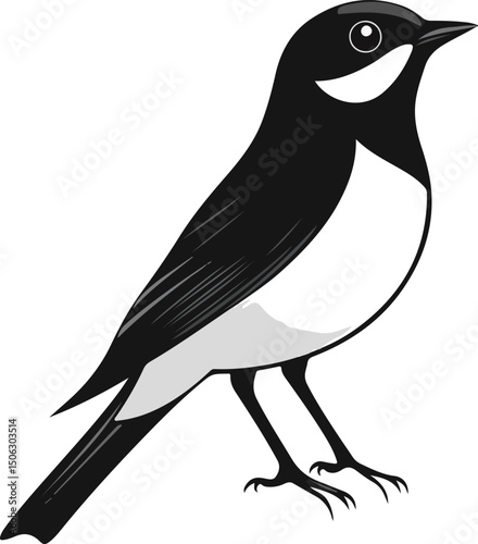 The cute little bird looks at the black and white vector in the distance