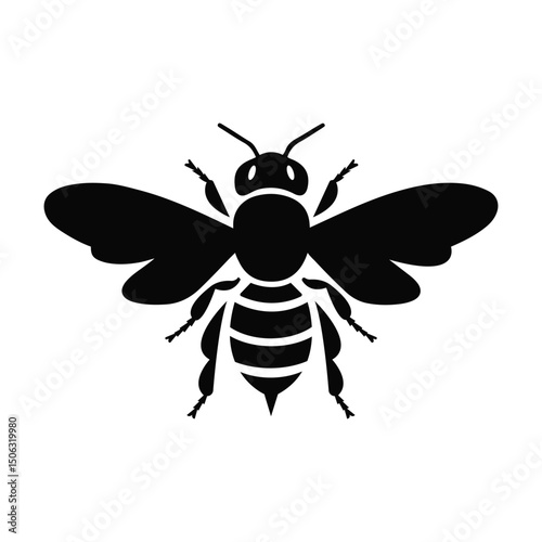 vector illustration of a bee