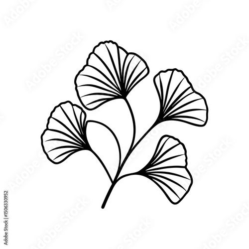 Ginkgo Biloba Branch
