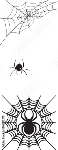 Black insect spider on a web, a symbol of Halloween nature and fear