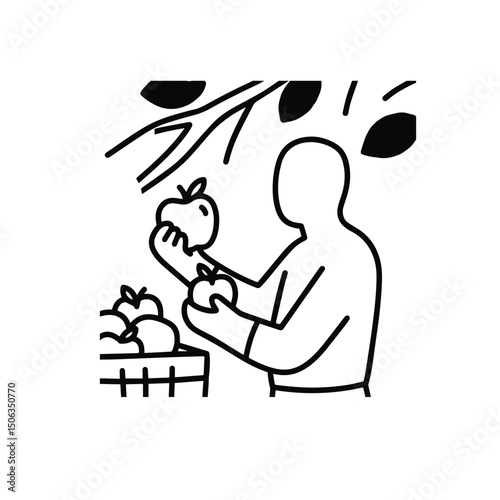 Faceless Person Picking Apples in Autumn – Thick Line Art Harvest Season Vector