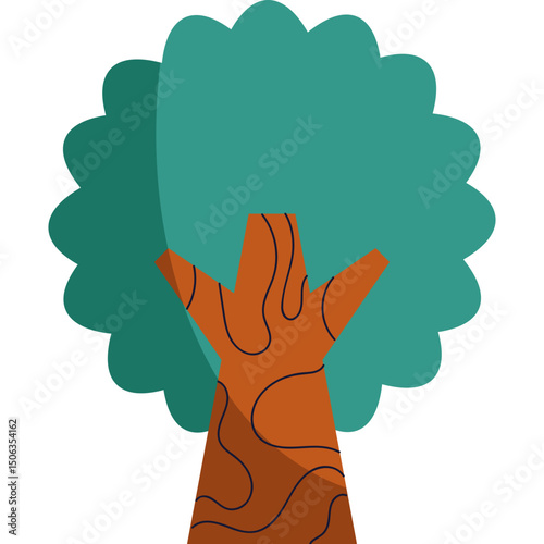 Explore the Beauty of Natural Forest Trees