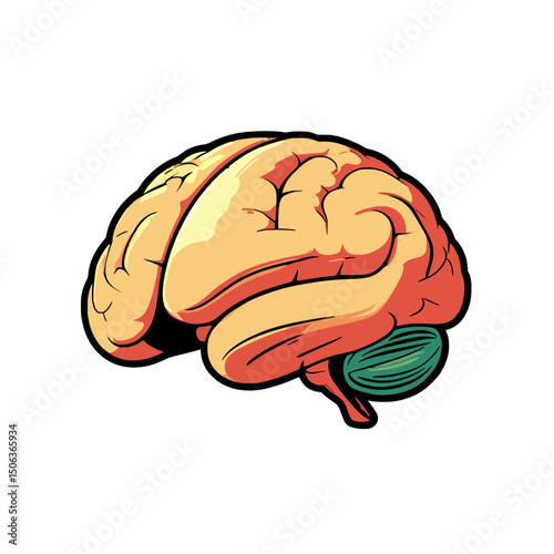 Stylized Brain Illustration