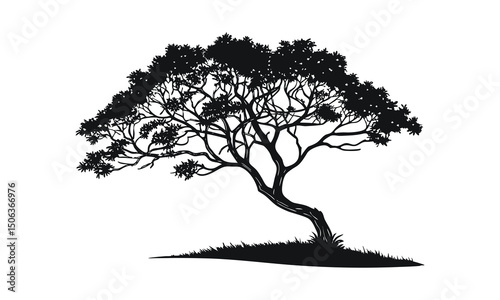 Tree silhouette vector. with white background.