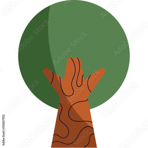 Explore the Beauty of Natural Forest Trees