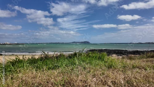 Sunny Beach Scene with Grassy Dunes and Ocean Horizon