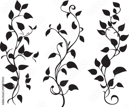 Black Silhouette Vine Leaves Vector Art: Climbing Plant Illustration, Floral Design Element